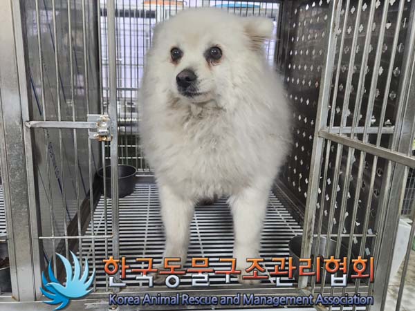 한국동물구조관리협회_441560202400280